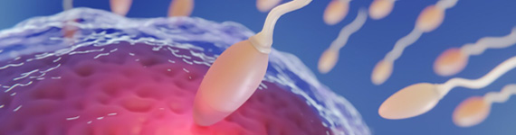 提高妊娠率,降低流产率—高龄/习惯性流产也能怀上