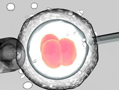 113医院试管下来需要多少钱