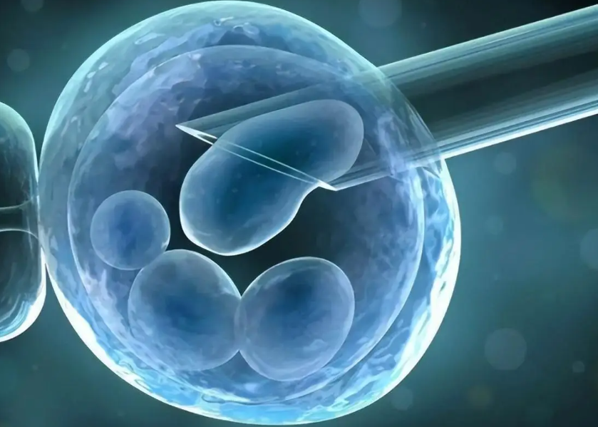 26岁做试管婴儿的成功率是多少