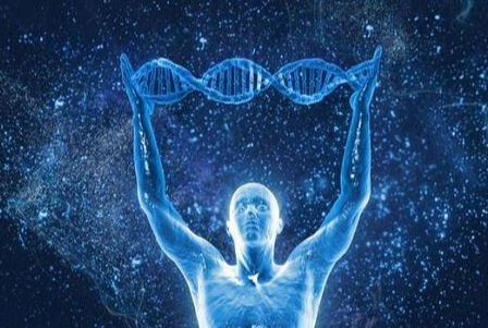 26岁做试管成功率高吗