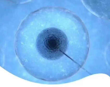 试管婴儿机构服务星蕴合悦好不好